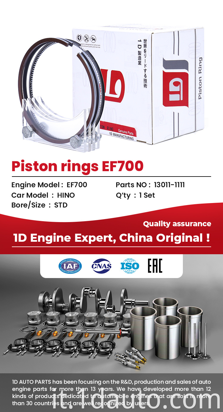 EF700 Piston Ring Set